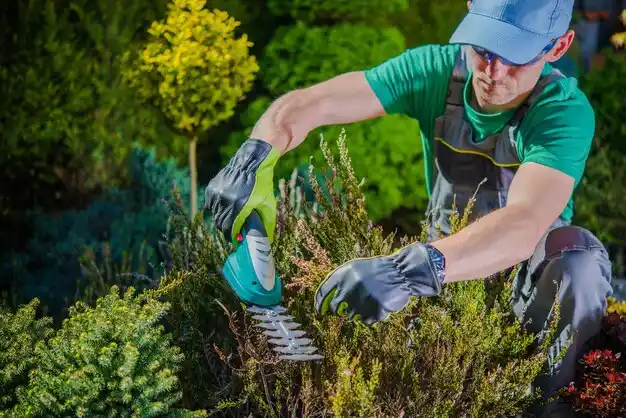 landscaping services Walnut Grove